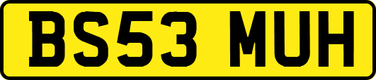 BS53MUH