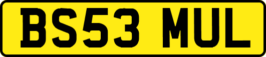 BS53MUL