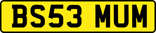 BS53MUM