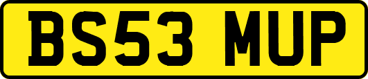 BS53MUP