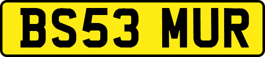 BS53MUR