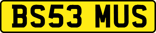 BS53MUS