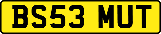 BS53MUT
