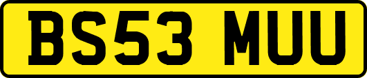 BS53MUU