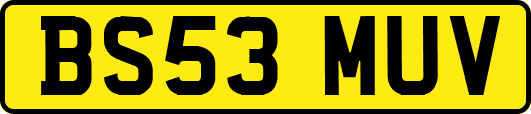 BS53MUV