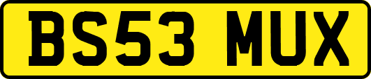 BS53MUX
