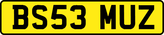 BS53MUZ