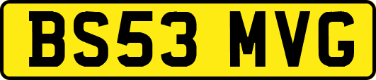 BS53MVG
