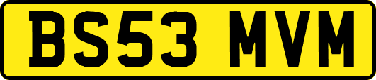 BS53MVM
