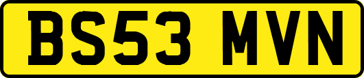 BS53MVN