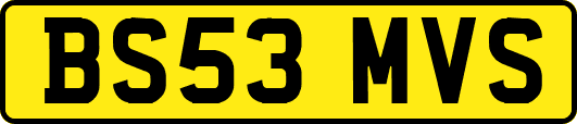 BS53MVS