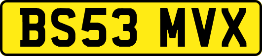 BS53MVX