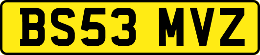 BS53MVZ