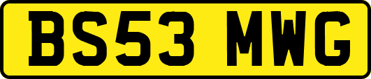 BS53MWG