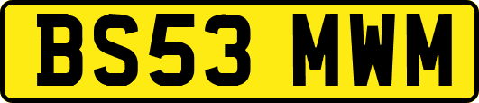 BS53MWM