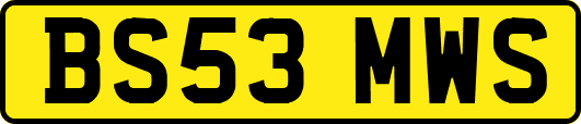 BS53MWS