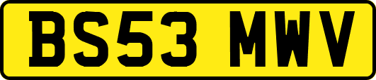 BS53MWV