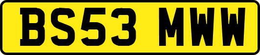 BS53MWW