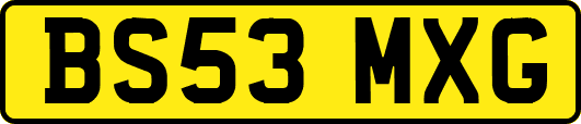 BS53MXG