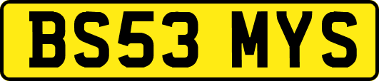 BS53MYS