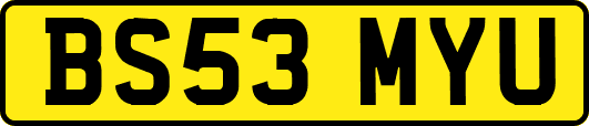 BS53MYU