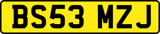 BS53MZJ