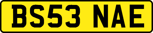 BS53NAE