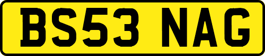 BS53NAG