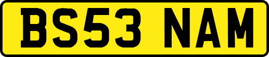 BS53NAM