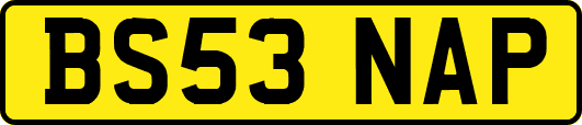 BS53NAP