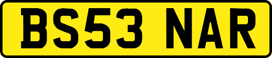 BS53NAR
