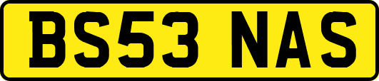 BS53NAS