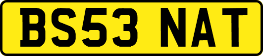 BS53NAT