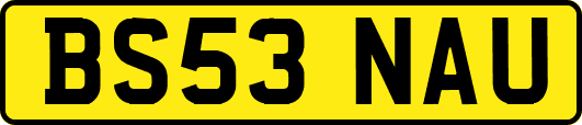 BS53NAU