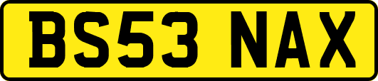 BS53NAX
