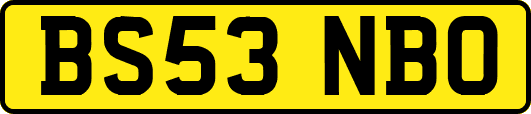 BS53NBO