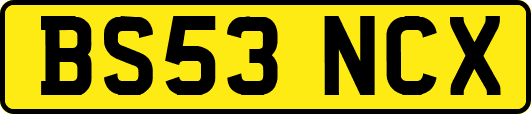 BS53NCX