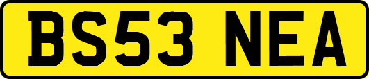 BS53NEA