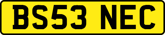 BS53NEC