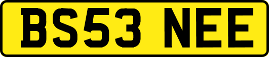 BS53NEE