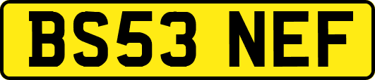 BS53NEF