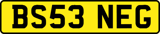 BS53NEG