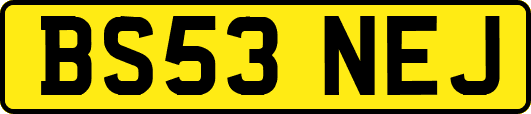 BS53NEJ