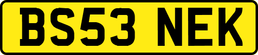 BS53NEK