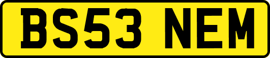 BS53NEM