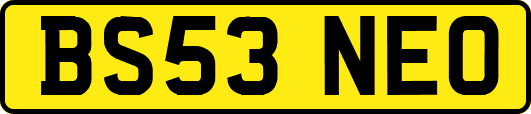BS53NEO
