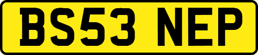 BS53NEP