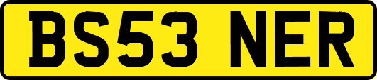 BS53NER