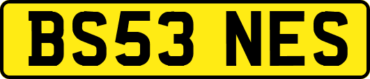 BS53NES