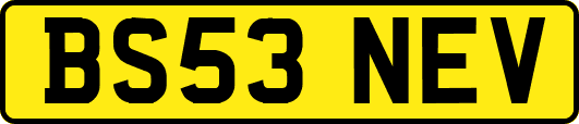 BS53NEV